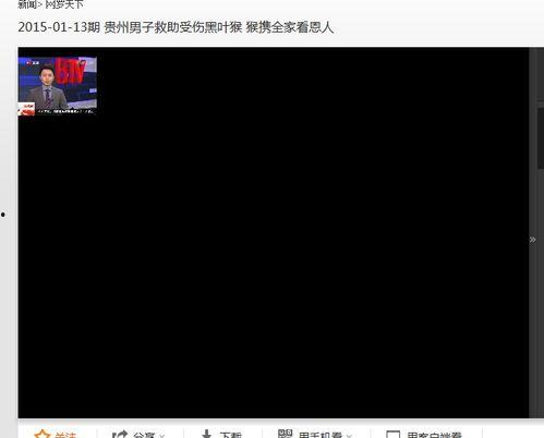 口播爆料视频大全免费观看,免费观看大全汇总