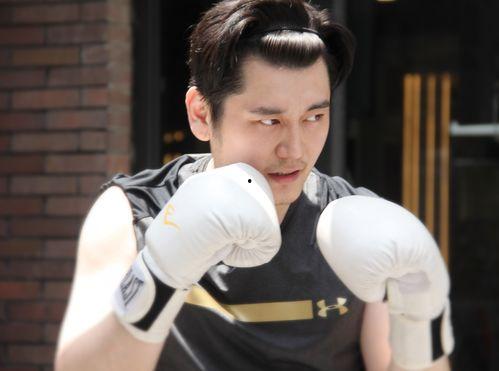 梁芸菲最新爆料视频大全,揭秘背后惊人真相！”