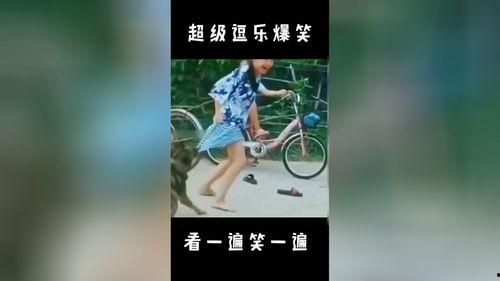 逗乐爆料视频大全最新版