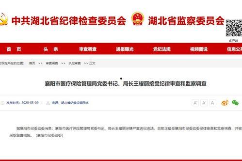 湖北爆料最新消息视频