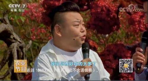 陈玮视频完整版看点爆料,精彩看点与独家爆料大公开