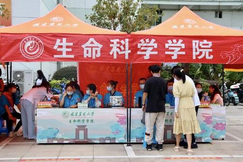 港媒爆料视频下载,揭秘事件背后真相