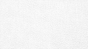 黎明觉醒10月最新爆料,神秘势力崛起，英雄集结，战火再燃！