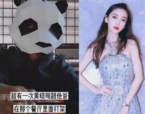 刘大锤爆料杨颖视频在线观看